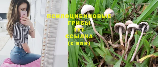 скорость mdpv Балабаново