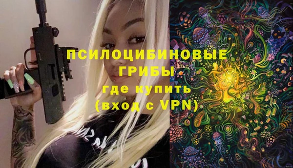 твердый Армянск