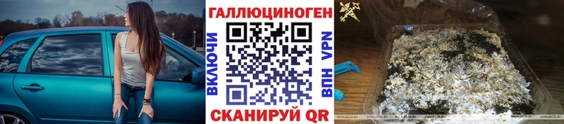 Псилоцибиновые грибы Cubensis  купить закладку  Урус-Мартан 