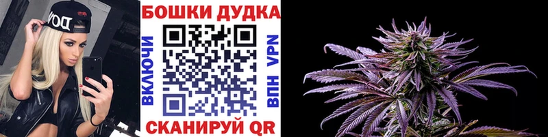 даркнет сайт  Урус-Мартан  Каннабис OG Kush 
